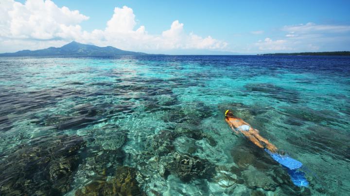 shutterstock_79329262