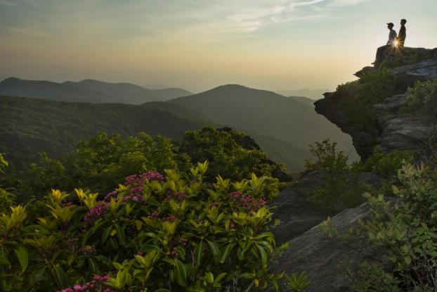 2 HERO_Craggy Gardens Rhododendron near Asheville 3_Web72DPI