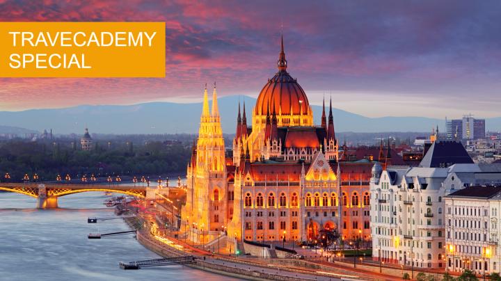 shutterstock_768128938 (1) (3)